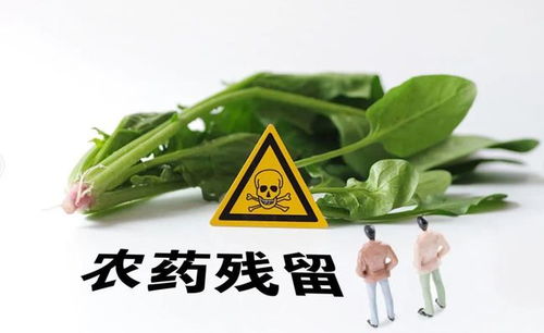 瀘州食品檢查通報 知名超市與火鍋店現不合格食品，市民需警惕